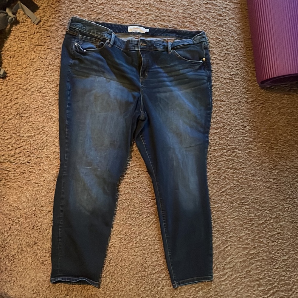 Torrid jeans
